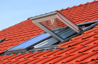 Rednal roof window